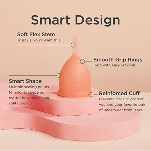 Saalt Soft Menstrual Cup – Reusable Period Cup – Made for Comfortable, Leak-Free Protection Up to 12 Hours – BPA & Latex Free – Includes Cup & Carry Bag (Regular Grey/Small Desert Blush)