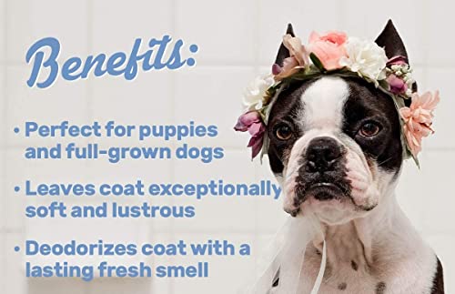 Image of Dog Shampoo | Ditch to Itch & Dog Anti Dandruff Shampoo - (500ml)| Dog Shampoo for Labrador and Golden Retriever| Pet Shampoo for Dogs| Shampoo for Dogs(Combo of 2)