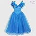 ELSA & ANNA® Princesa Disfraz Traje Parte Las Niñas Vestido (Girls Princess...