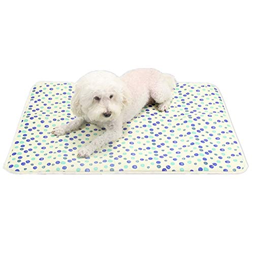 WPCASE Tapis pour Chien Grande Taille Coussin Matelas Chien Matelas pour Animaux De Compagnie,Couverture De Chien AntidéRapant Lavable Blueberry,M