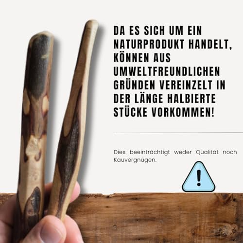 PetLove Kauholz für Hunde aus Olivenholz • Holzknochen als Hundespielzeug • Kauknochen als Zahnpflege & Kauspielzeug für Hund • Größe: S (60-99g) • Ideal für Welpen & kleine Hunde