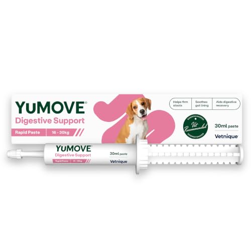 YuMOVE Digestive Care Rapid Dog Pre and Probiotic Paste for Gut Health Digestive Supplements with Fast-Acting Ingredients for Medium Dogs 30ml