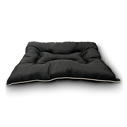 Best Dog Beds For Chewers 10Reviewz