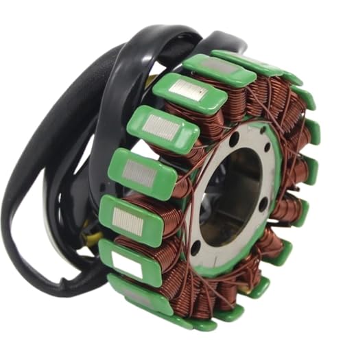 Générateur magnéto de moteur de moto pour modèle GS500F et GS500 pièce 31401-01D10