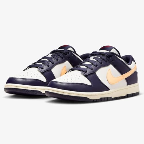 Nike Dunk Low Retro Men's Shoes2