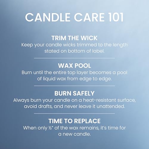 Yankee Candle Large Jar Scented Candle with up to 150 Hour Burn Time, Premium Plant Wax Blend for Consistent Burn, 22 oz Jar Candle with Room Filling Fragrance, A Calm & Quiet Place
