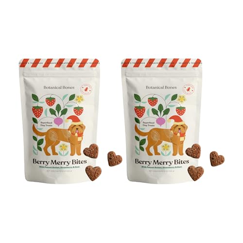 Berry Merry Organic Dog Treats – Vegan, Wheat-Free, Peanut Butter Heart Crunchy Cookies – Holiday Dog Treats, All-Natural & Baked in USA, Pumpkin, Peanut Butter, & Strawberry – 5oz (2-Pack)