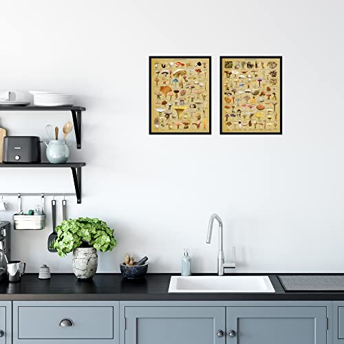 Vintage Mushroom Poster Mushroom Poster Mushroom Wall Art - Set Of 2 (11X14) Mushroom Posters Mushroom Prints Mushroom Pictures Wall Art, Mushroom Decor Mushroom Posters For Wall - Unframed #TOP1