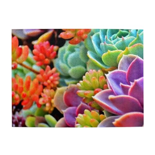 美しい多肉植物0500ピース ジグソーパズル 大人向け難しい 破片なし カチっとハマる 誕生日 おしゃれ インテリア ギフトハウス (52×38cm)