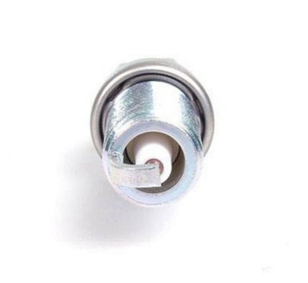 Amazon.com: SPARK PLUG 12120039634 : Baby