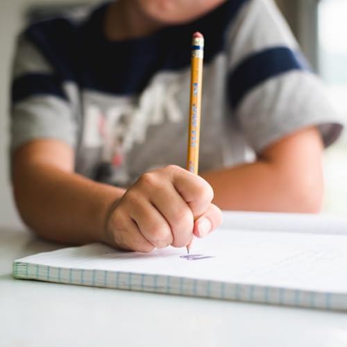 Episode 38: Creating Consistency for a New Homeschool Year