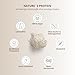 Nutri + Eiweißpulver Neutral ohne Süßstoff 500 g - 83% Eiweiß - Proteinpulver laktosefrei - als Shake oder zum Backen - Natures Protein Pulver
