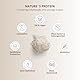 Nutri + Eiweißpulver Neutral ohne Süßstoff 500 g - 83% Eiweiß - Proteinpulver laktosefrei - als Shake oder zum Backen - Natures Protein Pulver
