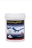 ENVASE 1 KG Reductor del pH para Piscinas DIAMINUS PH GR 1 KG – Formato Granulado