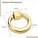 boxoon Gold Stainless Steel Ring Door Knocker, Modern Zinc Alloy Pull Handle for Cabinets & Drawers, Sturdy & Stylish