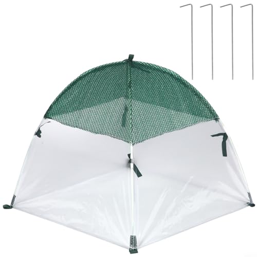 TONIXY Mini serre - Protection contre le froid - Avec clous de sol - Pour jardin, terrasse, balcon (D)