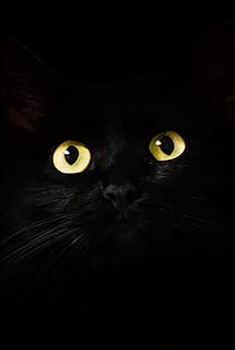 INTERNET PASSWORD BOOK: Black Cat Password Keeper Book. Small & Alphabetical Tabs. Pefectly Discreet, Hidden In Plain View.
