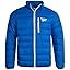 Vector Blue