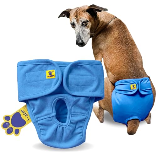 Image of A+a Pets' Cotton Dog Diapers | Underwear Panty | Stretchable Comfortable Washable and Reusable (L, Blue)