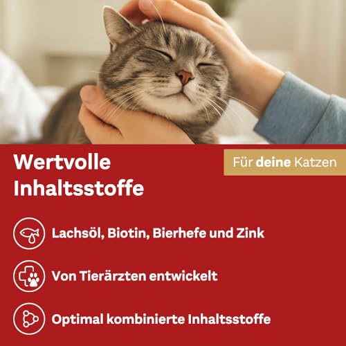 Doppelherz Haut und Fell Complex für Katzen - Mit wichtigen Omega-3 und Omega-6 Fettsäuren- 25 Licks