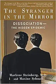 The Stranger In The Mirror book cover