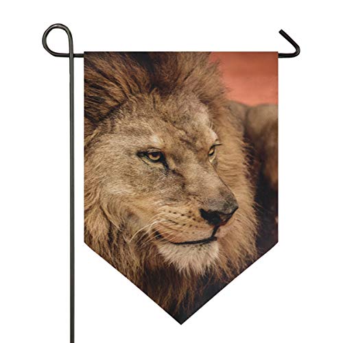 Preisvergleich Produktbild LUPINZ Löwe Bild Gartenflagge Multimuster Fahne Doppelseitig Bedruckt, Polyester, 1, 28x40in