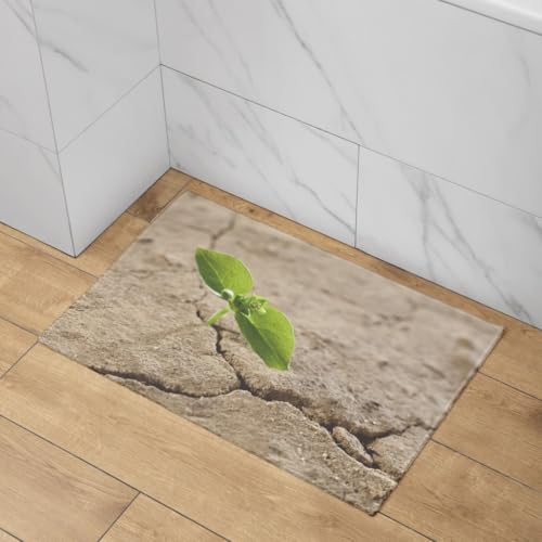 Tapis de porte d'entrée intérieur tapis de bain absorbant long - 4