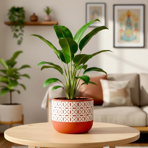 Image of Urban Plant Botanika Virasat Terracotta Pot with Drainage Hole (5 Inch) | Hand-Painted Decorative Clay Planter | Breathable Indoor Plant Pot for Healthy Growth | Tabletop Home Decor & Gifting