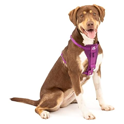 Kurgo Enhanced Strength Tru-Fit Harness for Dogs Cover