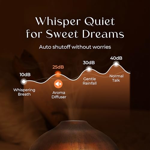 Earnest Living Essential Oil Diffuser Metal Diffuser 100 ml Timers Night Lights and Auto Off Function Home Office Humidifier Aromatherapy Diffusers for Essential Oils Gift