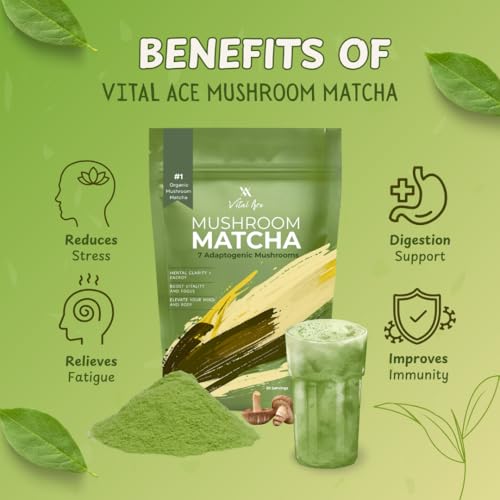Polvo matcha con 7 hongos adaptogénicos orgánicos 30 porciones miniatura 5
