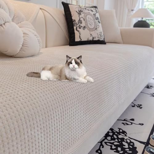 YKFN \t@[pbh 2l| It \t@Jo[ \t@[Jo[ 邾 \t@[ zc \t@[V[g \t@[}bg }`Jo[ \t@[ k  zc L΍ IȂ VFj[n Ȃ xbhJo[ ւ\t@J