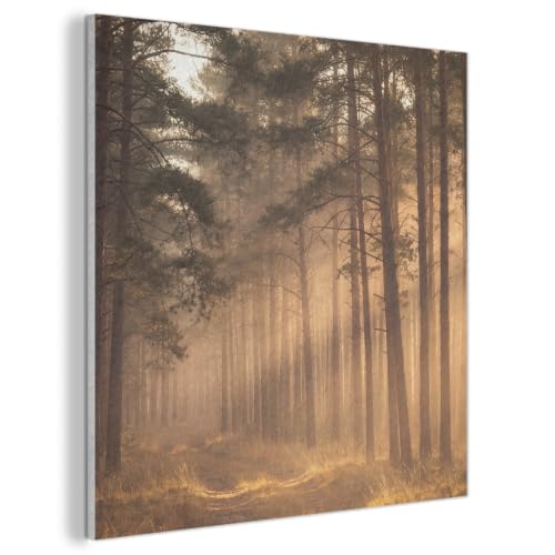 Fieltros arte visual MuchoWow decorativo bosque niebla panel de alta calidad