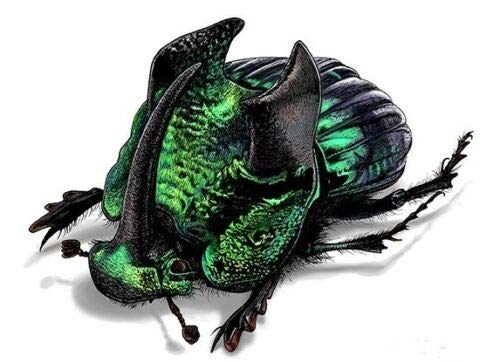 標本 Mexico Phanaeus demon demon 21mm 20mm Real Green Phanaeus Demon Male Horned Rhinoceros Dung Beetle