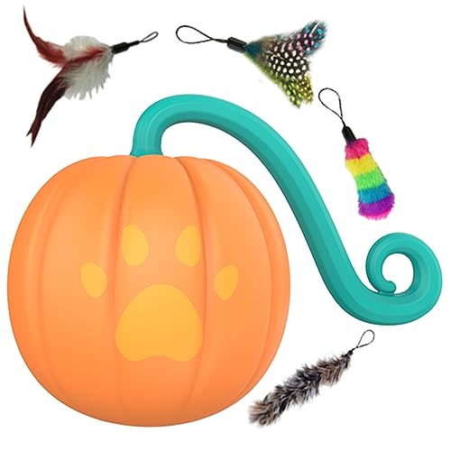 Kisangel 1Zbg ߋ   [g@ t Ɨp  ՐLeB