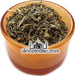 Tulsi Leaves (Ocimum Tenuiflorum Leaves) - 1 Oz