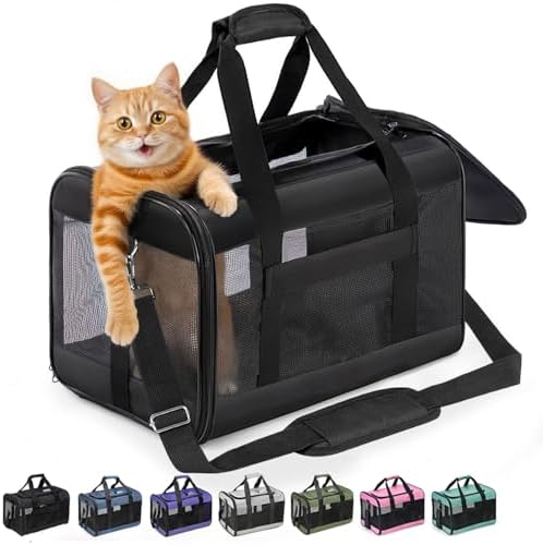 Conlun Transportbox Katze M, Flugzeugtaugliche Katzentransportbox bis 7kg | Schwarz Katzentransporttasche mit innerer Sicherheitsschnalle, ideal als Katzenkorb Transport für Reise,