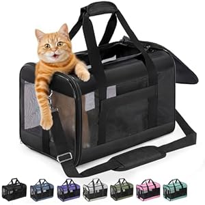 Conlun Katzenboxe Flugzeugtauglich, Weichseitige Hundetransportbox mit Innenleine, Transport für kleine bis mittelgroße Katzen und Welpen bis 7 kg, Zusammenklappbare Reisetasche -Schwarz, M
