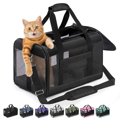 Conlun faltbare Katzenbox für Reisen