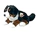 Price comparison product image Hermann Teddy Collection 928713 29 cm Bernese Mountain Dog Sitting Plush Toy