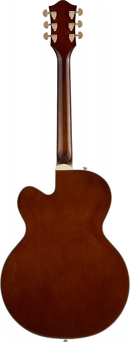 Amazon.com: Gretsch G2410TG Streamliner Hollow Body Single-Cut