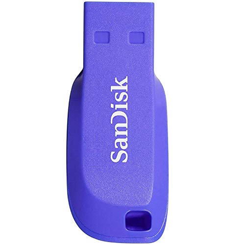 SanDisk 16 GB Cruzer Blade USB Flash Drive   Electric Blue