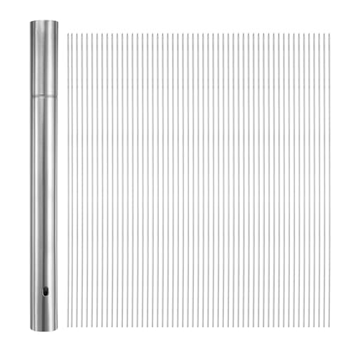QUARKZMAN 100 unidades de Brochetas de Metal para Barbacoa 30cm x 2.8mm Palitos Redondos de Acero Inoxidable Reutilizables para Barbacoa al Aire Libre con Tubo de Almacenamiento