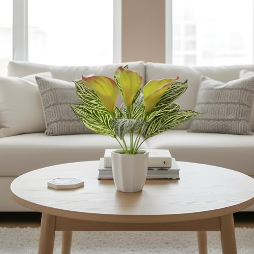 Image of fancymart Artificial Calla Lily Plant with Pot - 30 cm Height Decorative Flower Leaves (Pack of 1) | Realistic Faux Plant for Home & Office Decor | Table, Shelf & Desk Decoration