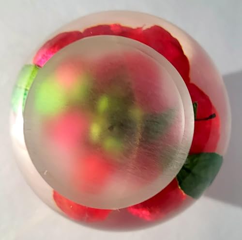 Image of 60mm Real Red Rose in Crystal Clear Lucite Resin Ball June Birth Month Flower Anniversary Wedding Engagement Valentine Mother's Day Gift Botanist Herb Herbarium Paperweight Display Decor Collection