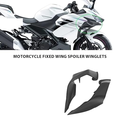 Ailerons latéraux de moto pour sublimer vos sorties et virées - 2