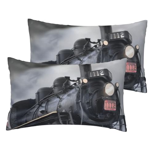 Taies d'oreiller en lin imitation train sans pli