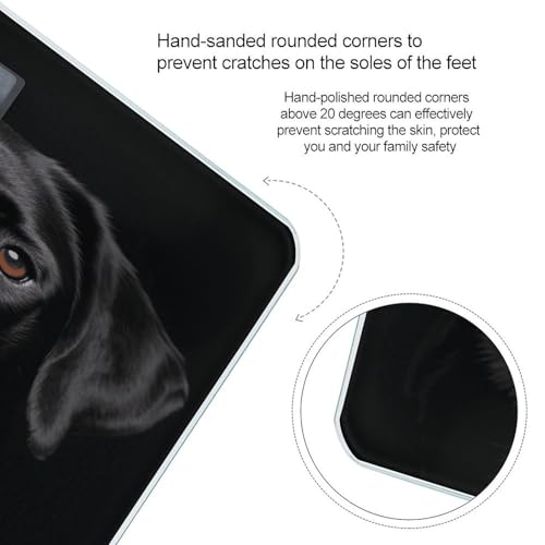 Báscula de baño digital Black Lab con vidrio templado miniatura 4
