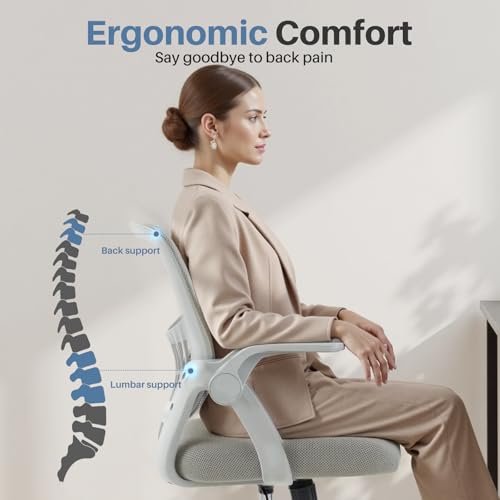 Image of DUMOS Ergonomic Home Office Chair, Lumbar Support Desk Chair
