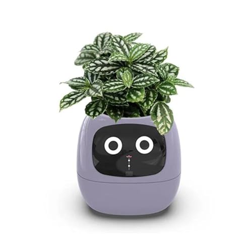 Pot de fleurs intelligent violet : la solution anti-arrosage excessif avec écran - 6